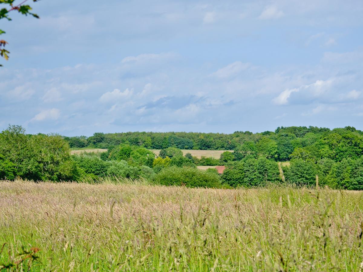 Tiger Villa Horsted Keynes Exterior foto