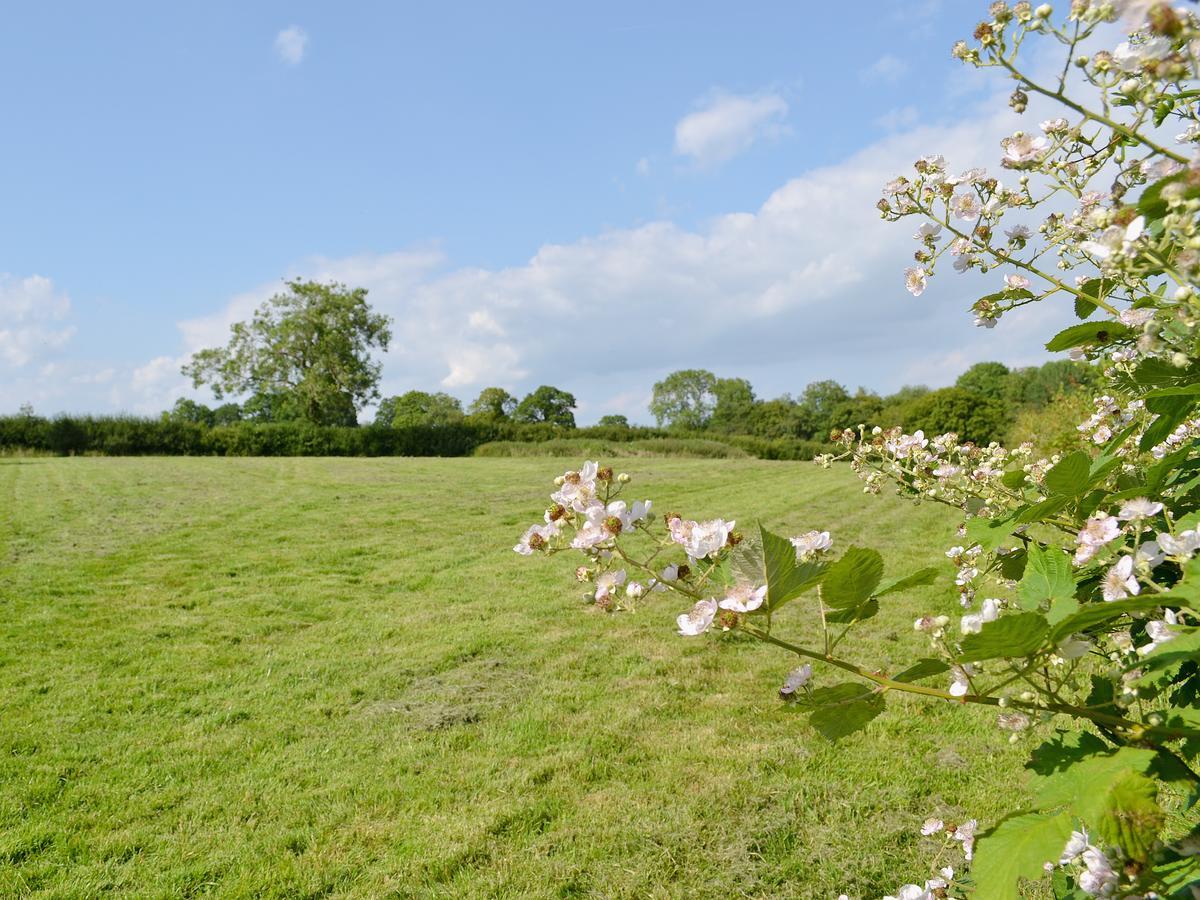 Tiger Villa Horsted Keynes Exterior foto